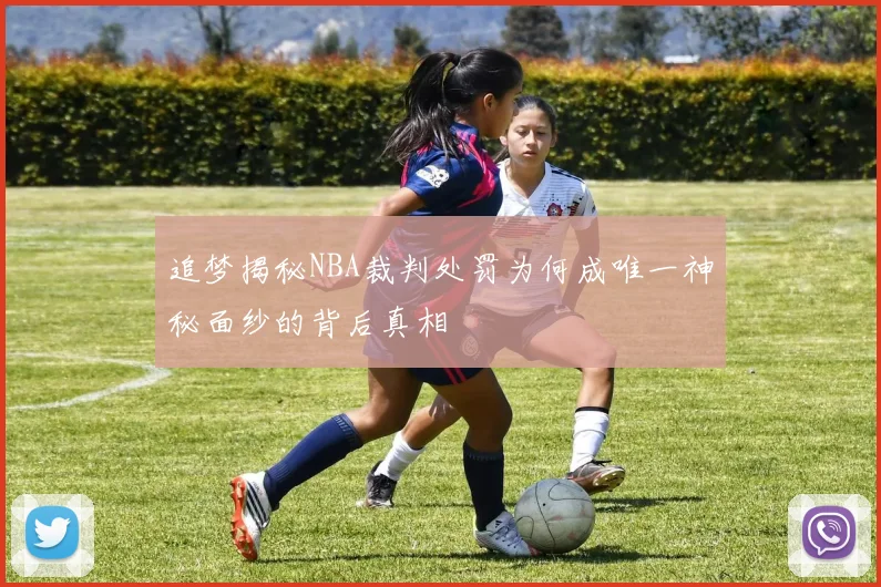 追梦揭秘NBA裁判处罚为何成唯一神秘面纱的背后真相